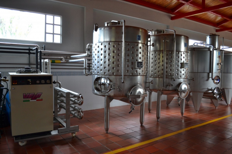 cave-ST LAURENT DU VAR-min_wine_production_cantine_winery_drink_alcohol_vine_beverage-902036